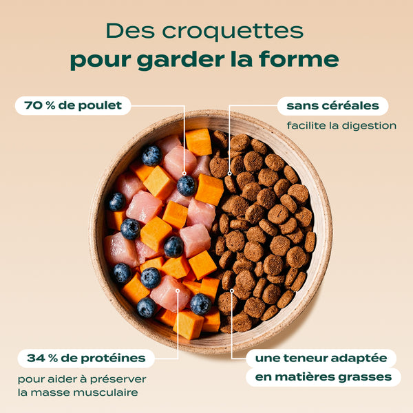 pack-chien-sterilise
