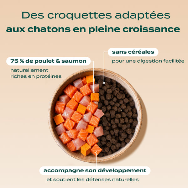 pack-decouverte-chaton