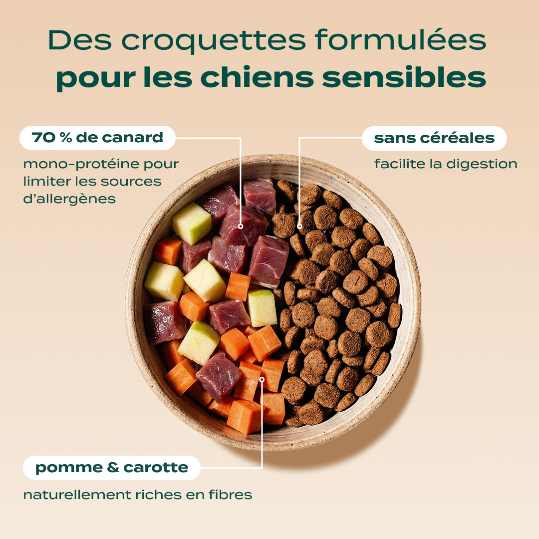 PACK ANTI-ALLERGIE CHIEN