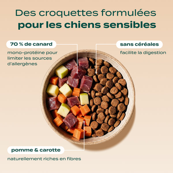 pack-anti-allergie-chien