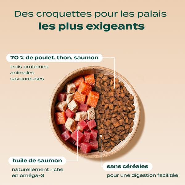 pack-chat-difficile