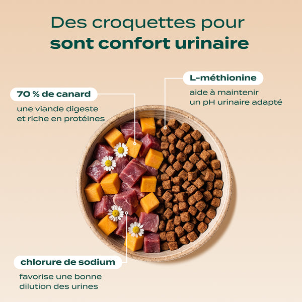 pack-troubles-urinaires-chat