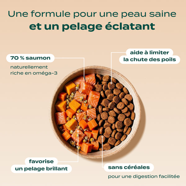 pack-anti-allergie-chat