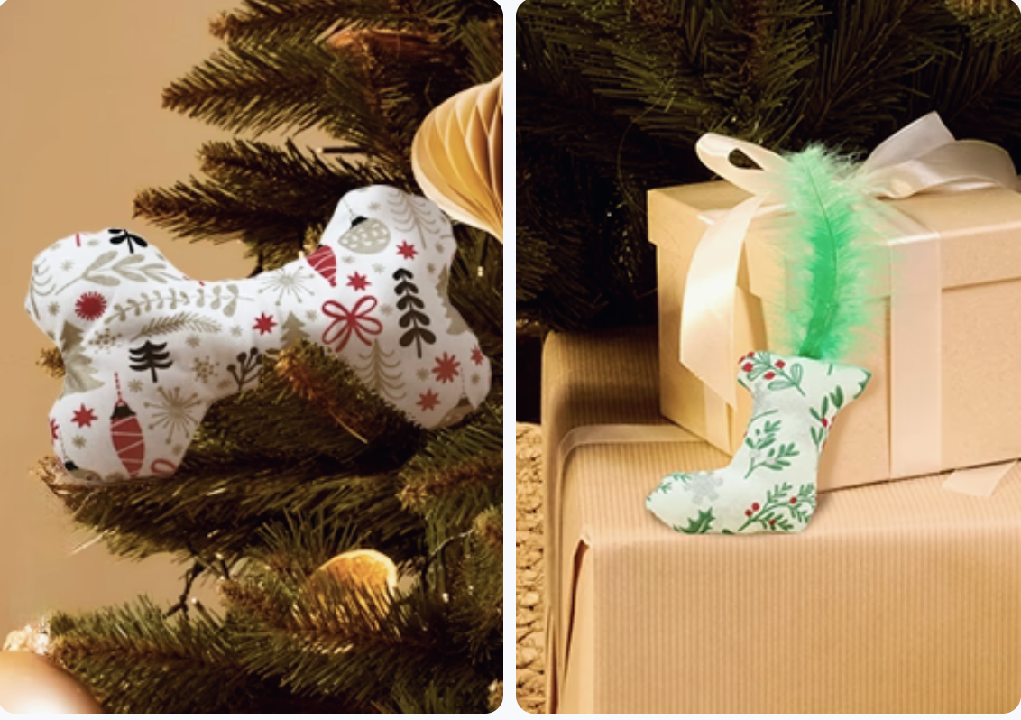 Franklin Alimentation premium pour chien et chat. Choisissez la meilleure nourriture pour votre animal : Croquettes sans céréales riches en protéines et faibles en glucides. Découvrez notre large gamme de pâtées et de friandises riches en viande !