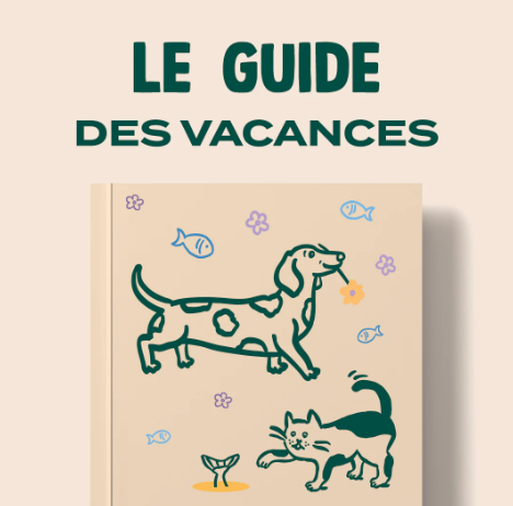 GUIDE ÉTÉ