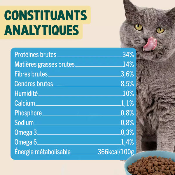 poulet-myrtille-basilic