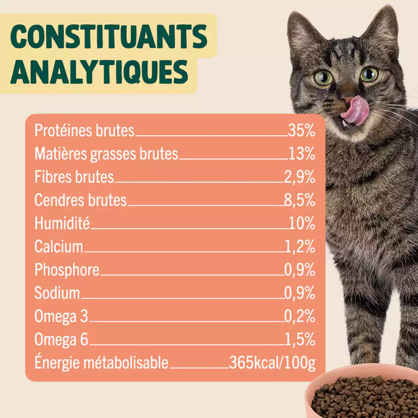 dinde-canard-canneberge