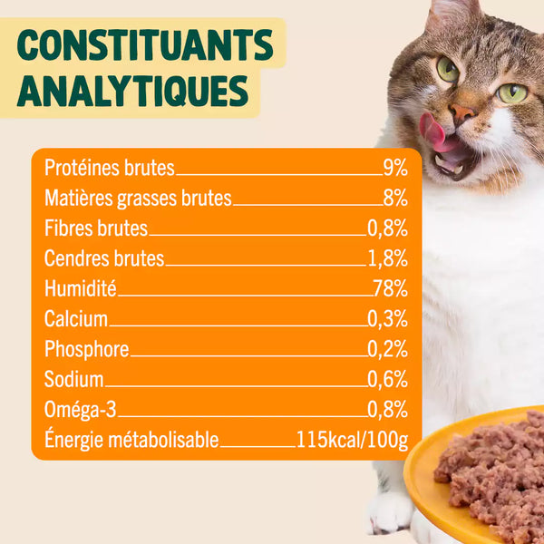 pack-decouverte-patees-chat