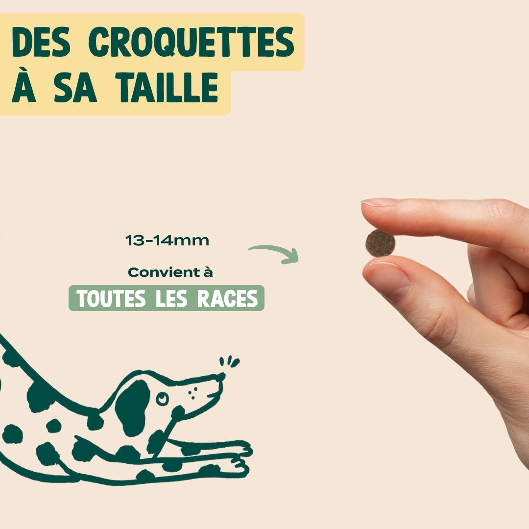 DINDE, PATATE DOUCE, ÉPINARDS