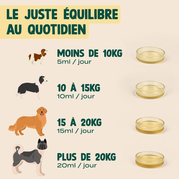 huile-de-chanvre-bio