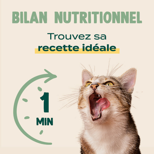 Franklin Alimentation premium pour chien et chat. Choisissez la meilleure nourriture pour votre animal : Croquettes sans céréales riches en protéines et faibles en glucides. Découvrez notre large gamme de pâtées et de friandises riches en viande !