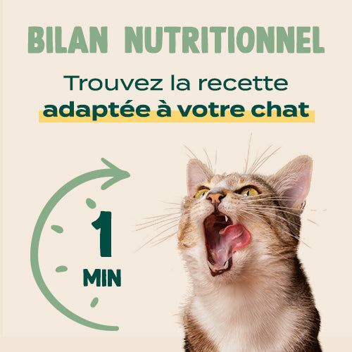 Franklin Alimentation premium pour chien et chat. Choisissez la meilleure nourriture pour votre animal : Croquettes sans céréales riches en protéines et faibles en glucides. Découvrez notre large gamme de pâtées et de friandises riches en viande !