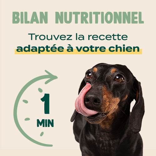 Franklin Alimentation premium pour chien et chat. Choisissez la meilleure nourriture pour votre animal : Croquettes sans céréales riches en protéines et faibles en glucides. Découvrez notre large gamme de pâtées et de friandises riches en viande !