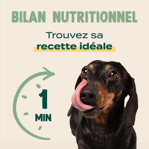 Franklin Alimentation premium pour chien et chat. Choisissez la meilleure nourriture pour votre animal : Croquettes sans céréales riches en protéines et faibles en glucides. Découvrez notre large gamme de pâtées et de friandises riches en viande !