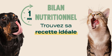 franklin-alimentation-premium-pour-chien-et-chat-choisissez-la-meilleure-nourriture-pour-votre-animal-croquettes-sans-cereales-riches-en-proteines-et-faibles-en-glucides-decouvrez-notre-large-gamme-de-patees-et-de-friandises-riches-en-viande