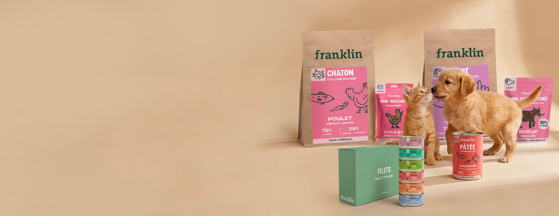 Franklin Alimentation premium pour chien et chat. Choisissez la meilleure nourriture pour votre animal : Croquettes sans céréales riches en protéines et faibles en glucides. Découvrez notre large gamme de pâtées et de friandises riches en viande !