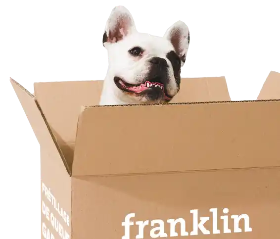 Franklin Alimentation premium pour chien et chat. Choisissez la meilleure nourriture pour votre animal : Croquettes sans céréales riches en protéines et faibles en glucides. Découvrez notre large gamme de pâtées et de friandises riches en viande !