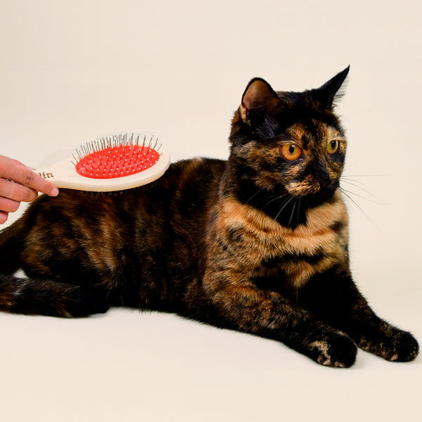 pack-anti-boules-de-poils-pour-chat