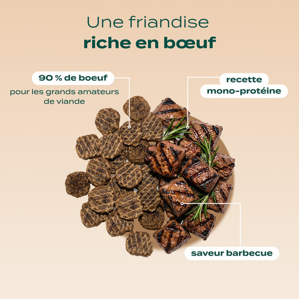 pack-chien-difficile
