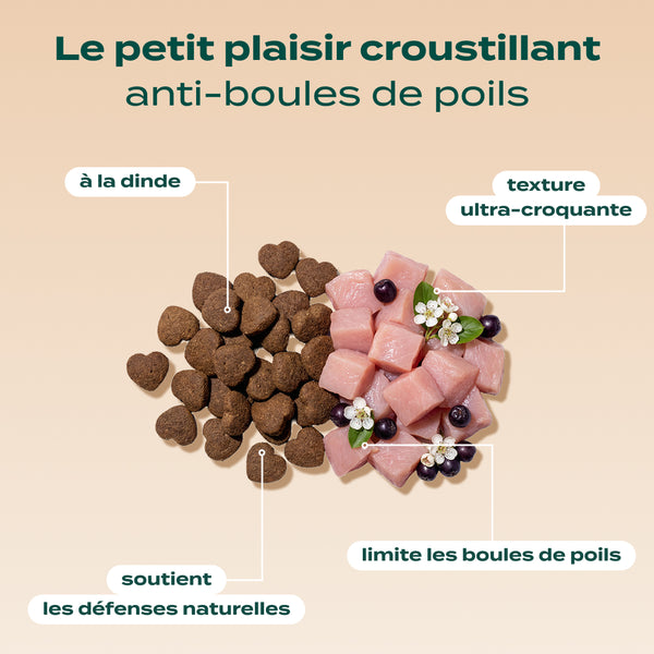 pack-anti-boules-de-poils-chat