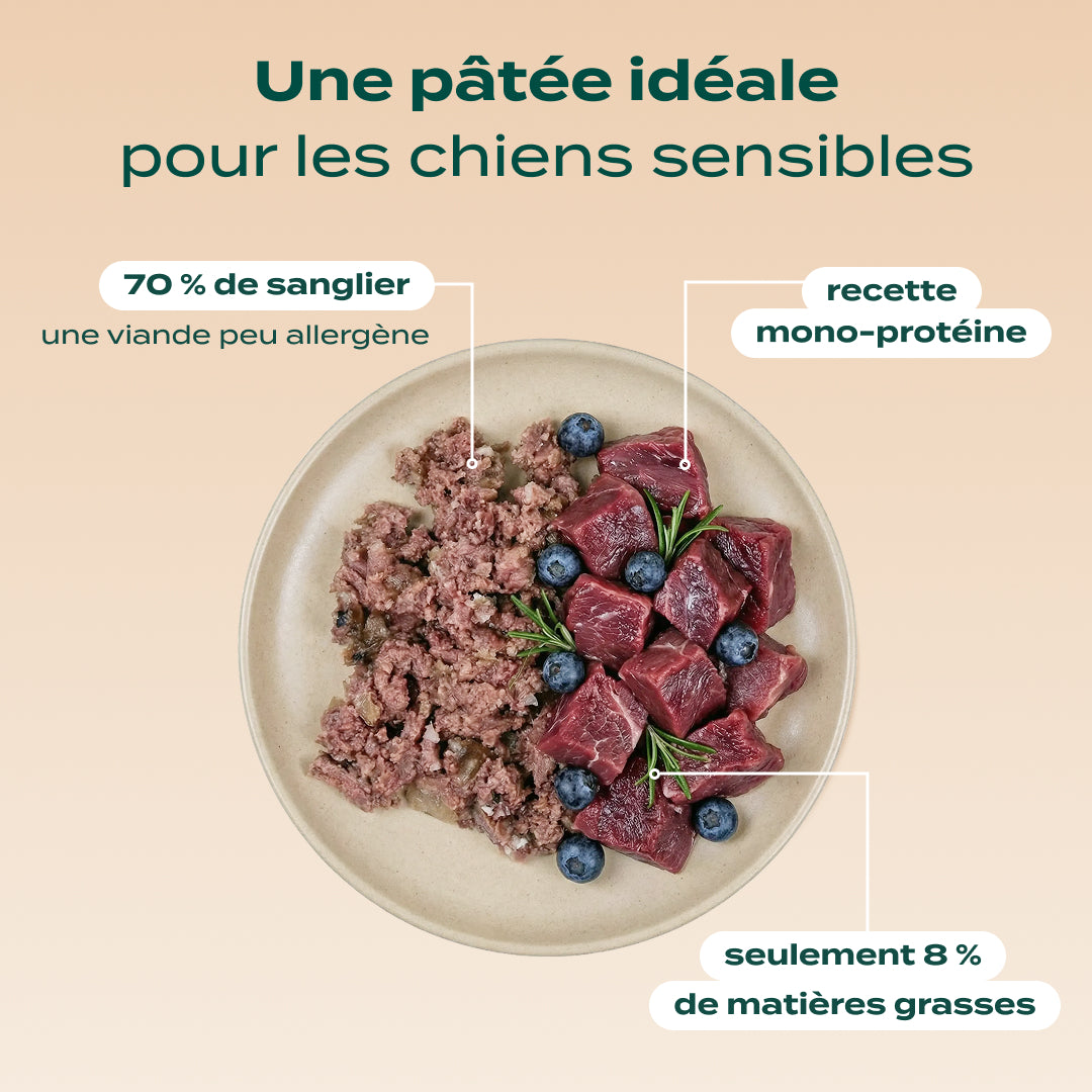 PACK CHIEN DIFFICILE