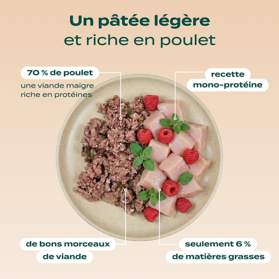 PACK CHIEN STÉRILISÉ