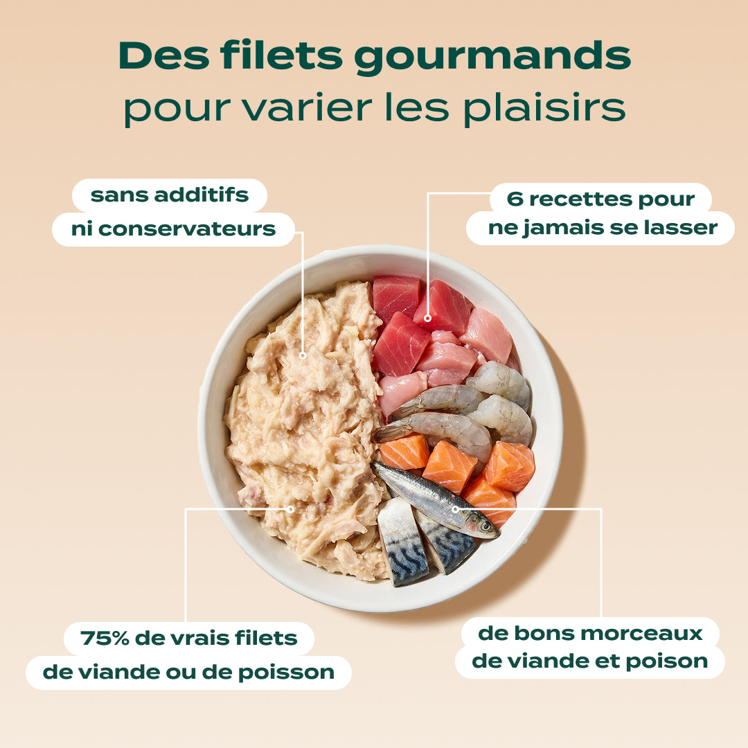PACK CHAT DIFFICILE