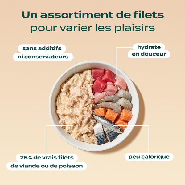 pack-decouverte-chat
