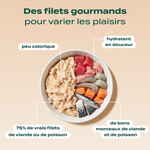 pack-chat-sterilise