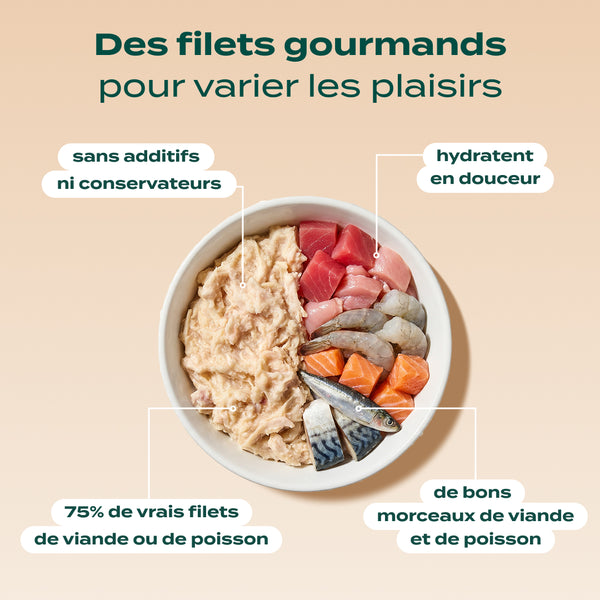 pack-peau-et-pelage-chat