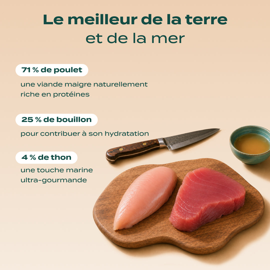 POULET & THON