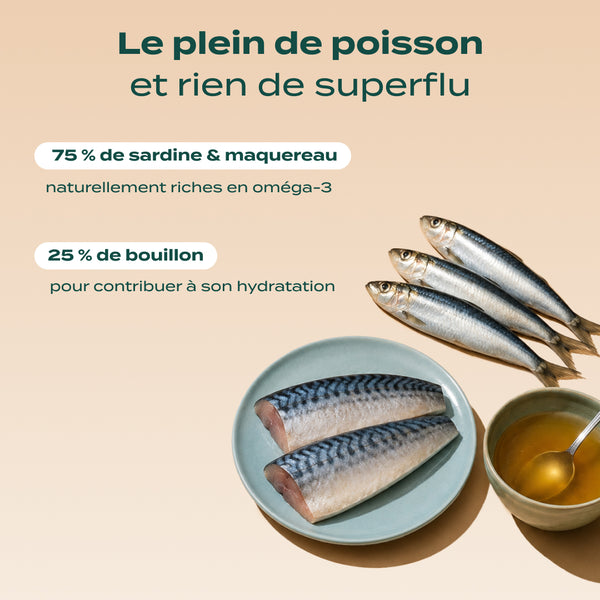 sardine-amp-maquereau