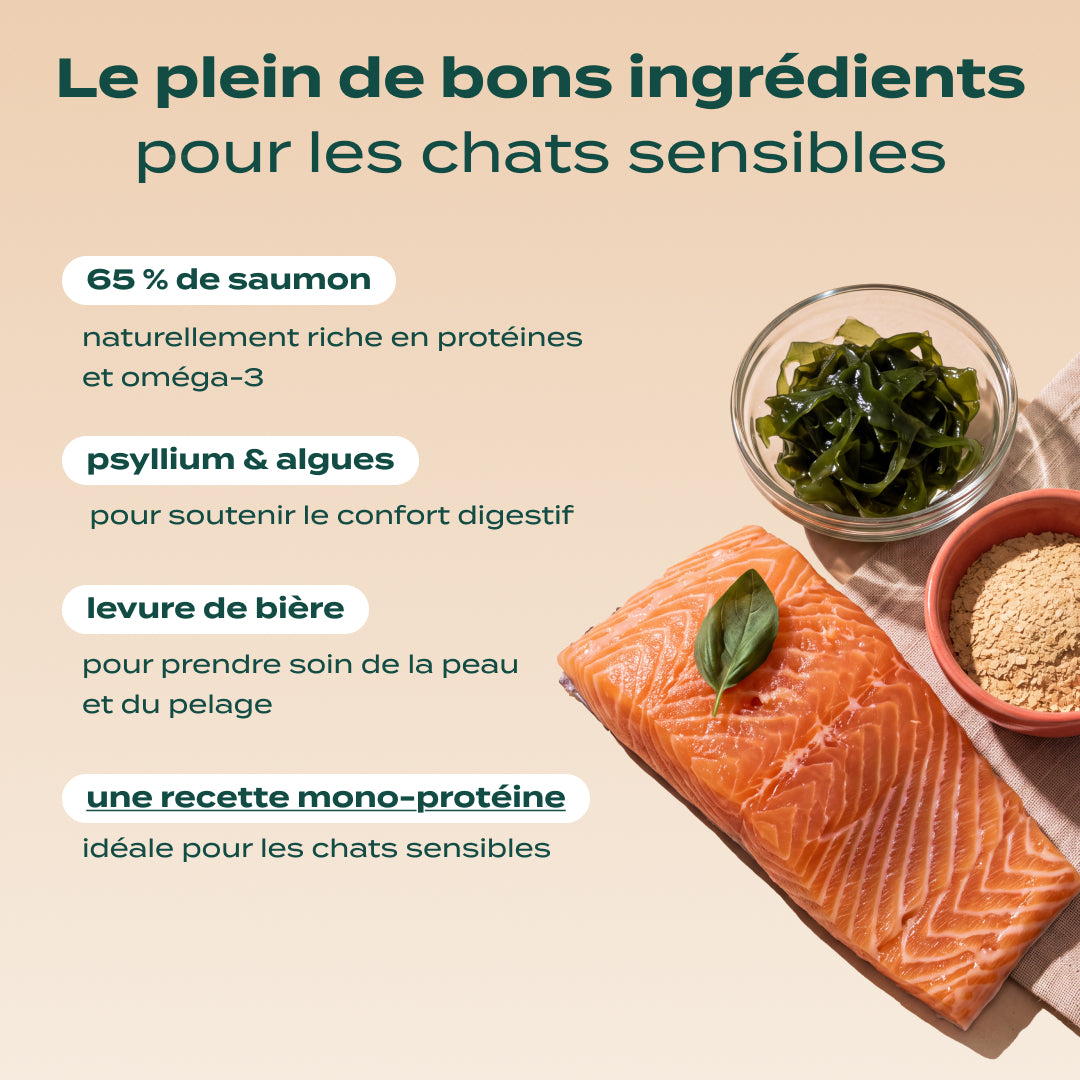 SAUMON, BASILIC