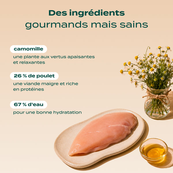 mini-tubes-poulet-camomille