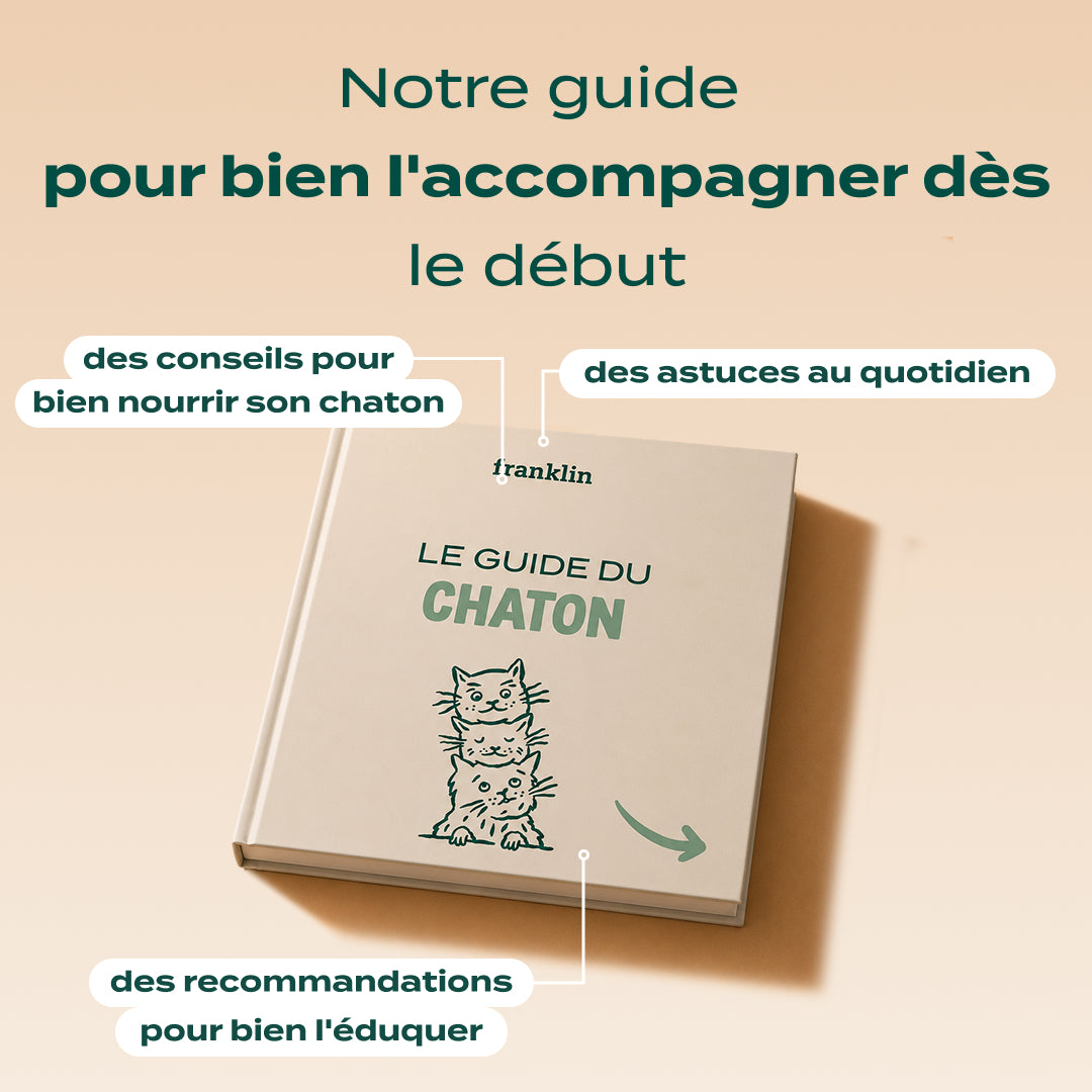 PACK DÉCOUVERTE CHATON