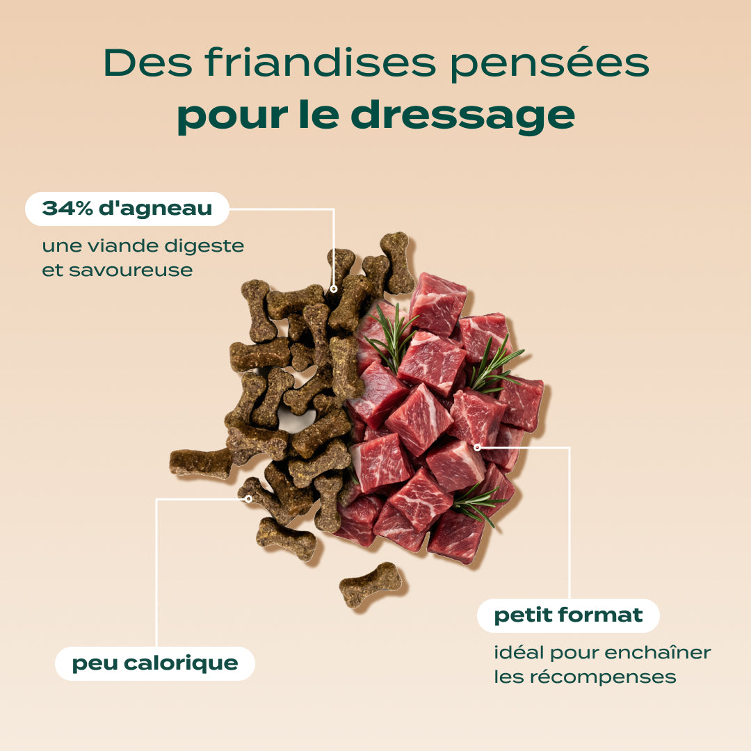 PACK DÉCOUVERTE CHIEN