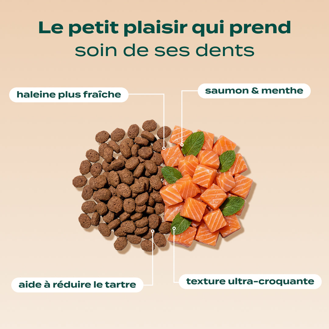 PACK CHAT STÉRILISÉ