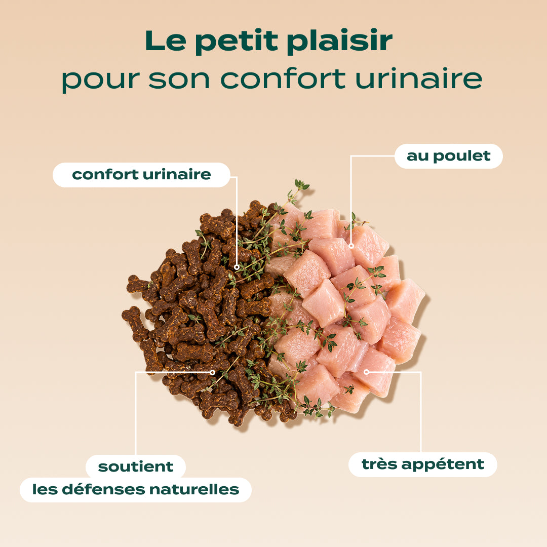 PACK TROUBLES URINAIRES CHAT