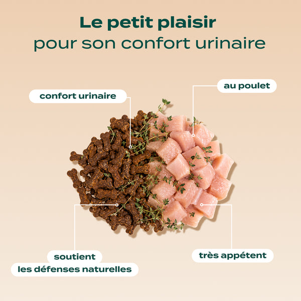 pack-troubles-urinaires-chat