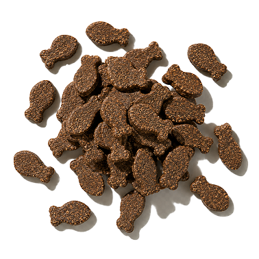 Dressage truite, persil