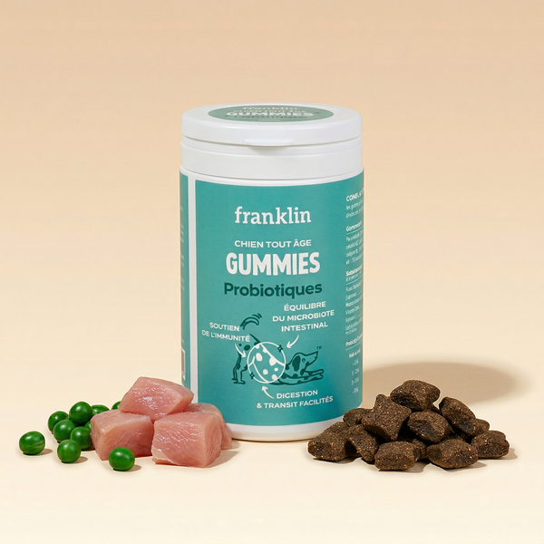 GUMMIES PROBIOTIQUES
