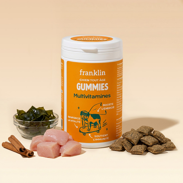 GUMMIES MULTIVITAMINES