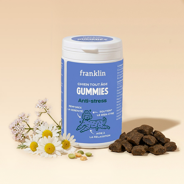 gummies-anti-stress