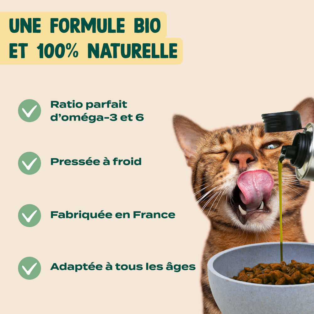 Huile de chanvre biologique pour chat : 20% de réduction – Franklin