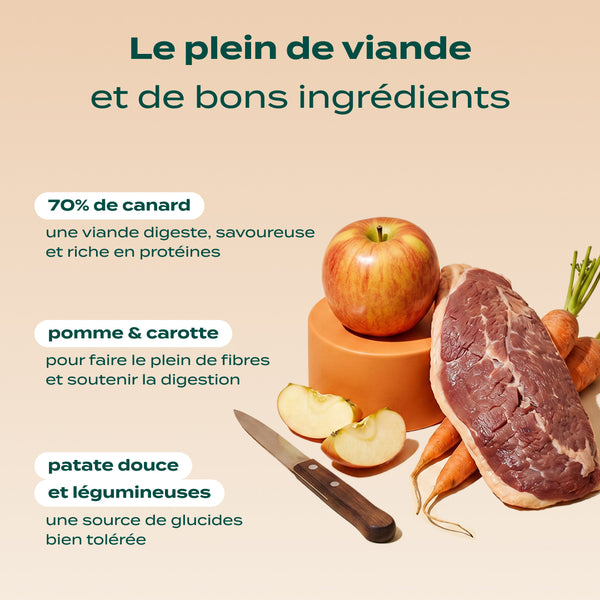 canard-pomme-carotte
