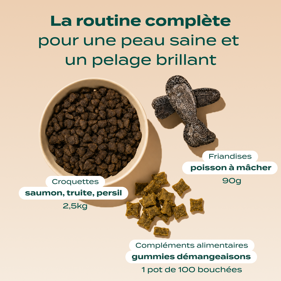 PACK PEAU ET PELAGE CHIEN