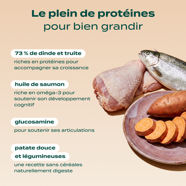 dinde-truite-patate-douce