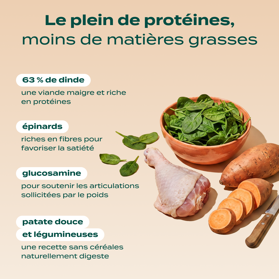 DINDE, PATATE DOUCE, ÉPINARDS