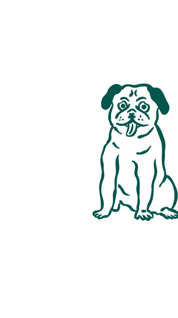 Symptômes d’anxiété chez le chien : léchage compulsif, aboiements, troubles du sommeil et comportements destructeurs.