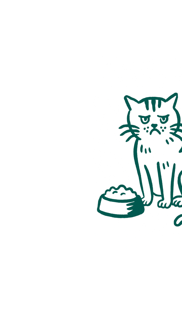 Votre chat est difficile parce que sa gamelle manque d'appétence, parce qu'elle ne contient pas assez de viande, parce qu'il n'aime pas la texture ou parce sa digestion est sensible.